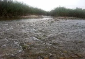 پارک جنگلی خارستان بهبهان