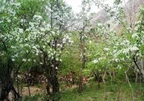 روستای خدا آفرید