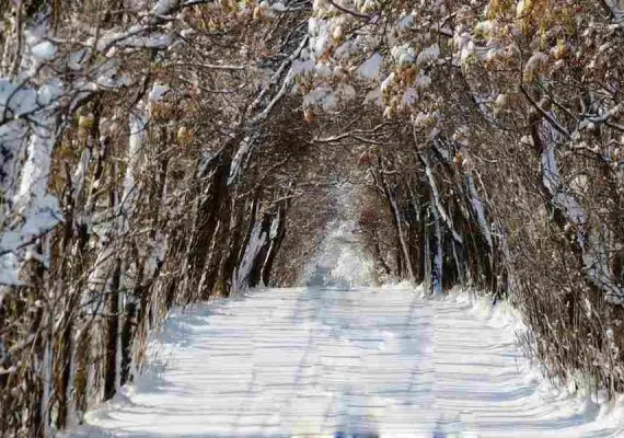 بند باستانی فریمان