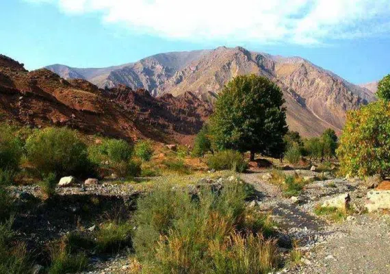 باغرود نیشابور