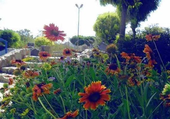 پارک کوهستانی پیشکوه