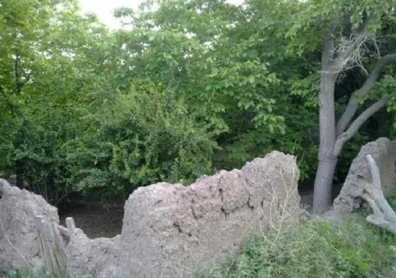 روستای گل خوسف