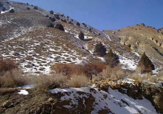 منطقه حفاظت شده هنگام گناباد