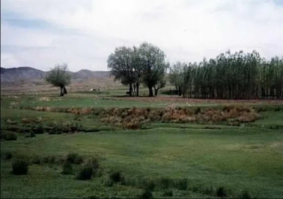 تفرجگاه زرکک