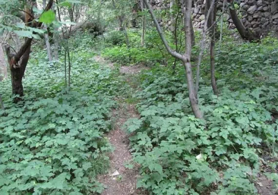 آبشار گرینه نیشابور