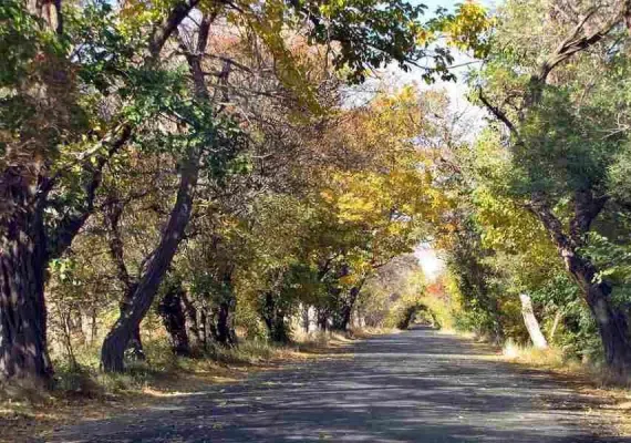 بند باستانی فریمان