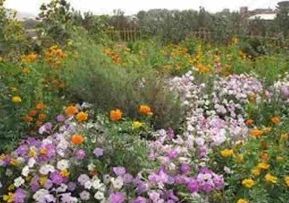 پارک ملی بجستان