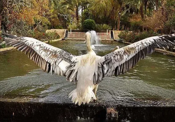 باغ گلشن طبس