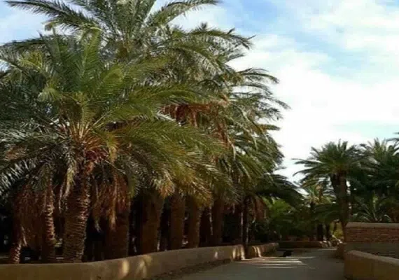 نهبندان