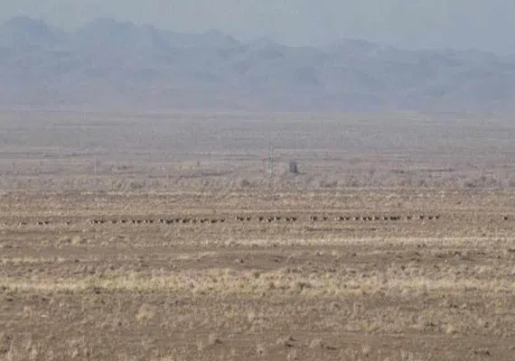 منطقه حفاظت شده رئیسی نیشابور