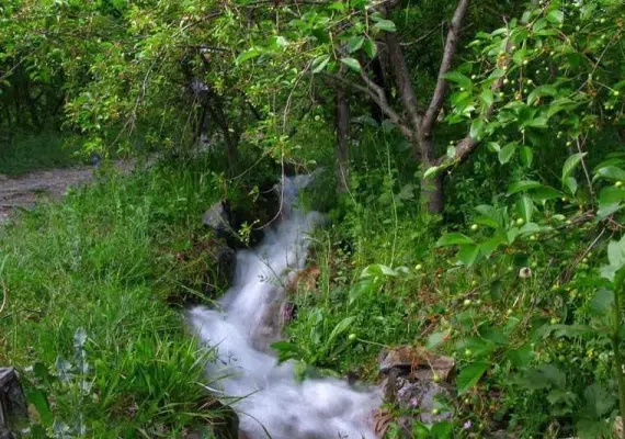 باغرود نیشابور