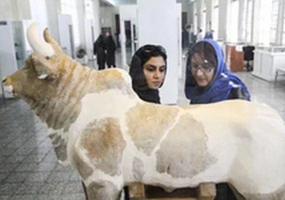 موزه محیط زیست تربت حیدریه