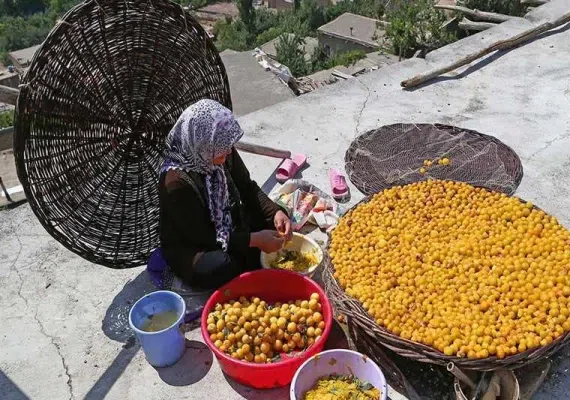 شهر ییلاقی خرو نیشابور