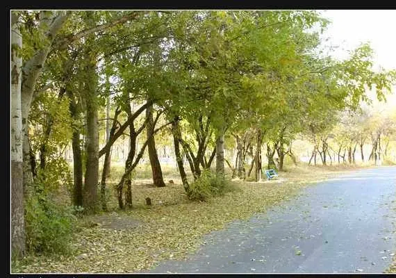 باغ ملی فریمان