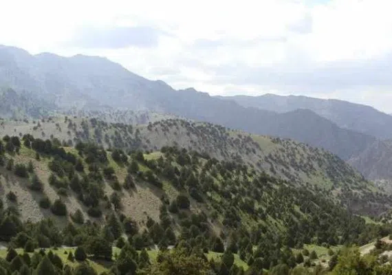 آبشار نورالی