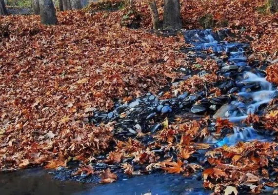 ییلاق طرقبه