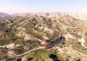 پارک جنگلی تمبی