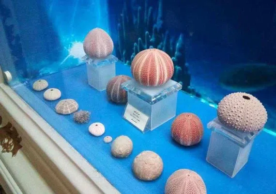 موزه آستان قدس رضوی