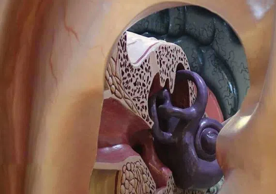 پارک علمی پروفسور بازیما