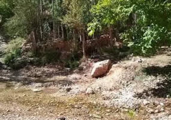 منطقه انگورستانی