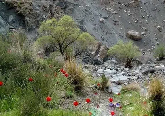 آبشار های بفره