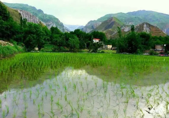 روستای ایدلیک کلات