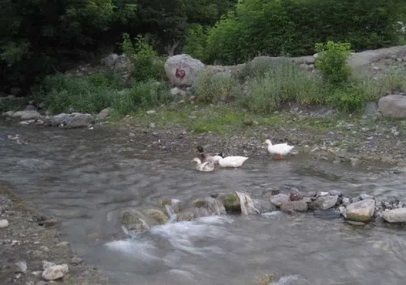 روستای ایدلیک کلات