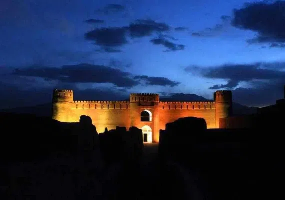 ارگ راین