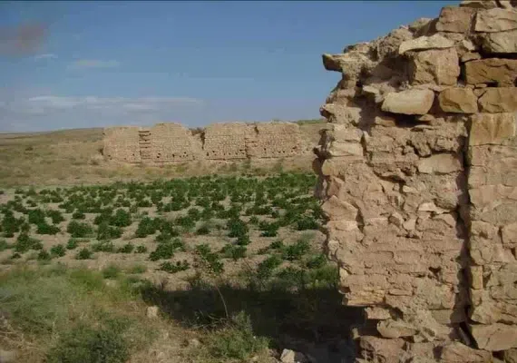 اقامتگاه تاریخی نادر