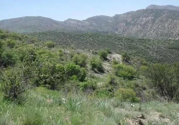 روستا کاستان