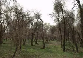 پناهگاه حیات وحش مهروئیه