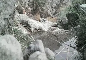 منطقه حفاظت شده مارز