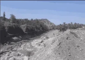 رمشک قلعه گنج کرمان