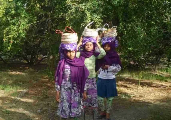 روستای گردشگری دهکهان، روستای کتاب دوست