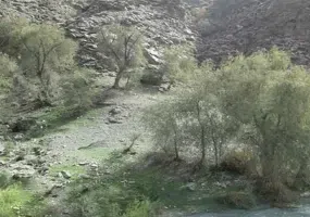 روستای دیدنی ده زرد شهرستان کهنوج