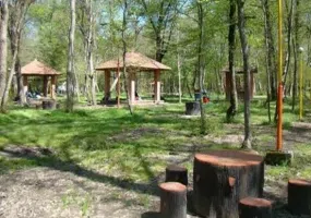 پارک جنگلی دلند