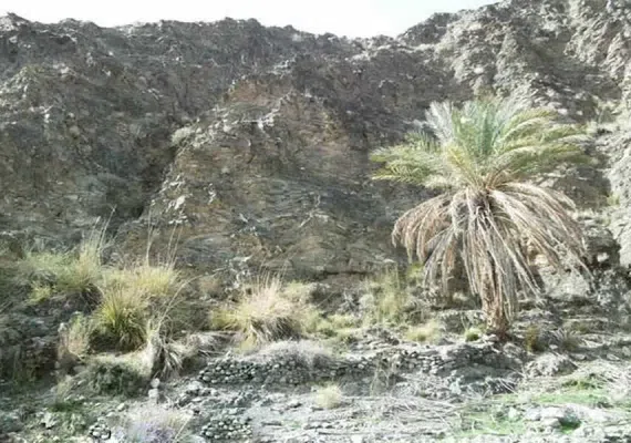 روستای دیدنی ده زرد شهرستان کهنوج