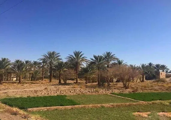 روستای کویری همیشه بهار کشیت