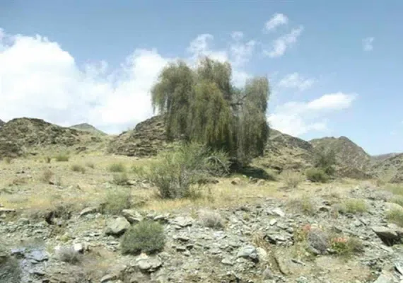 روستای دیدنی ده زرد شهرستان کهنوج