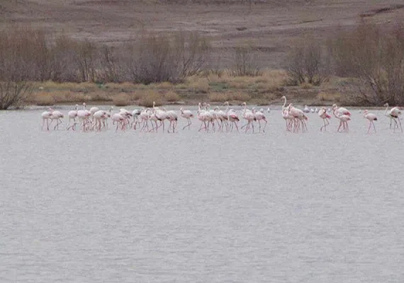 سد خاکی مدرس