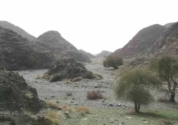 روستای دیدنی ده زرد شهرستان کهنوج