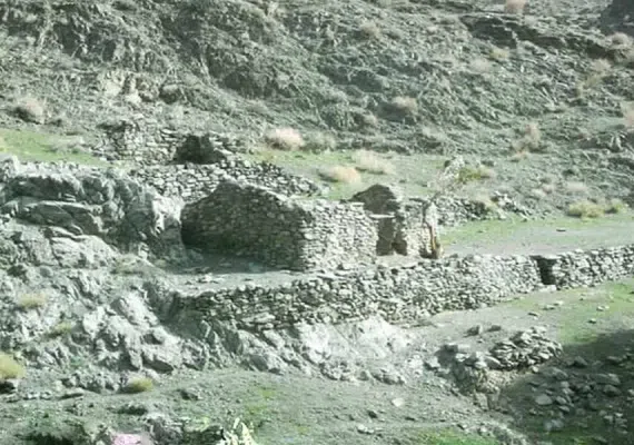 روستای دیدنی ده زرد شهرستان کهنوج