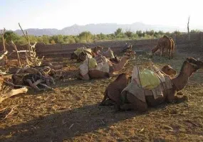 روستای توریستی مصر