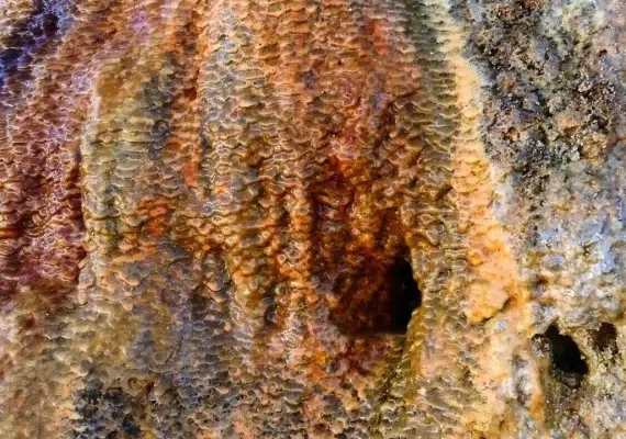 چشمه معدنی آب ترش قاین