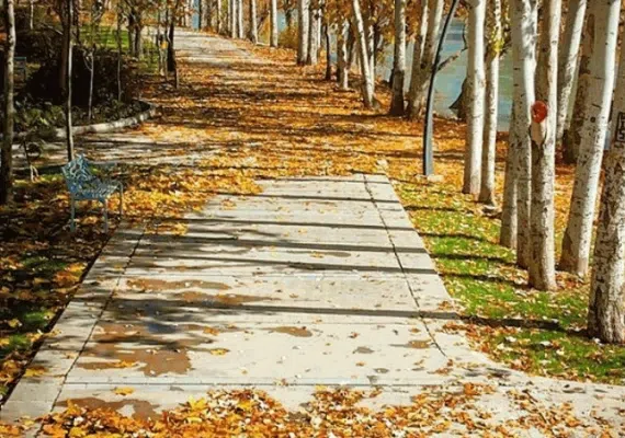 پارک ساحلی زرین شهر