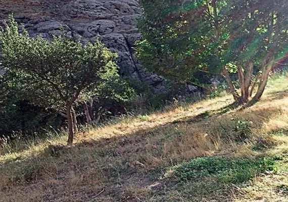 روستای حصار گلستان مشهد