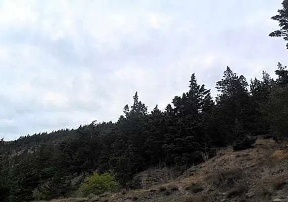 روستای حصار گلستان مشهد