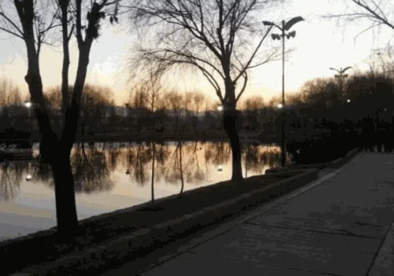 پارک ساحلی زرین شهر