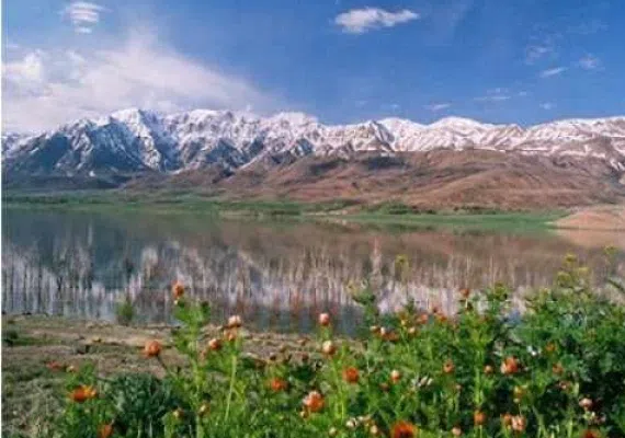 تالاب بین المللی چُغاخور، یکی از زیباترین تالاب های ایران