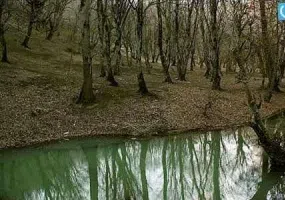 چشمه لاله گلستان